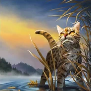 Pełna okładka chińskiej wersji językowej (chiński uproszczony)