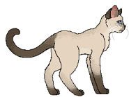 Alternatywny wygląd z okładek mang Tygrysia Gwiazda i Sasza