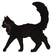 NocneSerce Wojownik2.png (13 KB) Jako wojownik