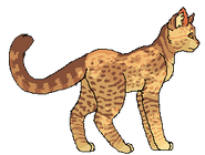 Leafstar Włóczęga.png (11 KB) Jako włóczęga