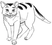 Pine (TS).TS-3.png (37 KB) Sosna w mandze "Powrót do klanów"