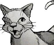 Wygląd w mandze "Ścieżka Kruczej Łapy"