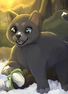 Wygląd na ilustracji z kalendarza 2025 autorstwa Brutushowl