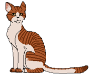 Lisciasta Gwiazda Alternatywna.png (6 KB) Alternatywny wygląd z polskiej okładki "Przeznaczenia Klanu Nieba"