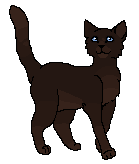 Briarlight Uczeń.png (4 KB) Jako uczennica