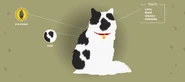 Profil na oficjalnej stronie