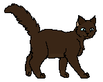Ropusza Stopa kociak.png (3 KB) Jako kocurek