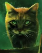 Sparkpelt Thunder.webp (14 KB) Wygląd na angielskiej okładce "Pioruna"