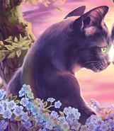 Lilo.jpg (556 KB) Wygląd na polskiej okładce "Pożegnania Kruczej Łapy"