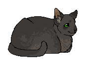 Pszczoła(BK) kotzparku.png (3 KB) Jako kot z parku