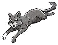 Wygląd w mandze "Nadzieja Wiewiórczego Lotu"