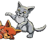 Wygląd w "Wbrew kodeksowi"