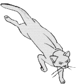 Wygląd w mandze "Ucieczka w las"