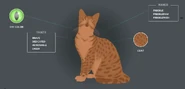 Frecklewish profil.png (149 KB) Profil na oficjalnej stronie