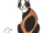 Popielica
