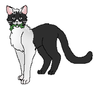 Alternatywny wygląd na okładce "Przekleństwa Gęsiego Pióra"