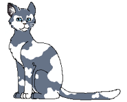 Cloudstar leader.png (12 KB) Alternatywny wygląd z polskiej okładki "Tułaczki Chmurnej Gwiazdy