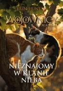 Okładka polskiej wersji językowej