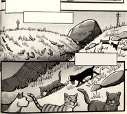 WindClan.SE-11.png (4,38 MB) Klan Wiatru w "Próbie Wroniego Pióra"