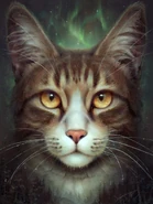 Wygląd z polskiej okładki "Blasku gwiazd"