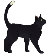 Kruczałapa Nieznanem.png (8 KB) W nieznanym miejscu