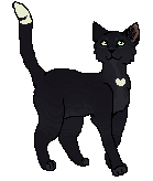 Krucza apa Wojownicy Wiki Fandom krucza-apa-wojownicy-wiki-fandom