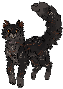 Yellowfang KG.png (8 KB) W Klanie Gwiazdy