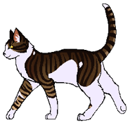 Leafstar Wojownik2.png (16 KB) Alternatywny wygląd z polskiej okładki "Misji Ognistej Gwiazdy"