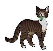 Leafpaw alternatywka.png (14 KB) Alternatywny wygląd z polskiej okładki "Blasku gwiazd"