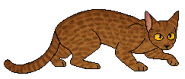 Jako łowca