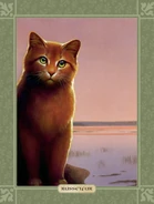 Wygląd w "Ostatecznym przewodniku"