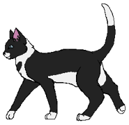 Spireclaw.png (5 KB) Jako wojownik