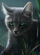 Wygląd na angielskiej okładce "Cienia"