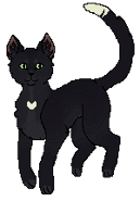 Kruczłapa kg.png (6 KB) W Klanie Gwiazdy