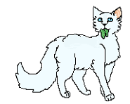 Jako uczennica medyka