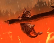 Wygląd na odświeżonej polskiej okładce "Ciszy przed burzą"