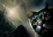 NP-2-FC-RR.jpg (3,14 MB) Pełna wersja nowszej okładki angielskiej wersji językowej