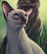 Wygląd na polskiej okładce mangi "Ucieczki w las"