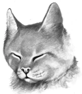 Yellowfang.png (20 KB) Wygląd w "Sekretach klanów"