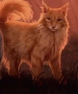 Wygląd na polskiej okładce "Ostatniej nadziei"