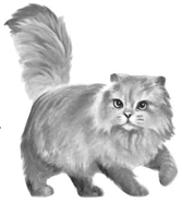 Wygląd w "Sekretach klanów"