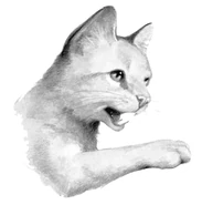 ŻółtyKieł.SK.png (18 KB) Wygląd w "Sekretach klanów"