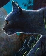 Wygląd na okładce "Pierwszej bitwy"