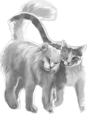 Wygląd w polskim wydaniu "Sekretów klanów" (po prawej)