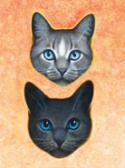 Skywatcher Cloudstar.png (305 KB) Wygląd w "Ostatecznym przewodniku" (na górze)