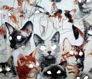 CD Cover of a random cat design by Patty Reed, being cropped and having added white eyes.
