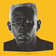 Alternative physical cover 3