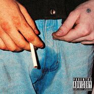 Alternate cover, used on streaming services