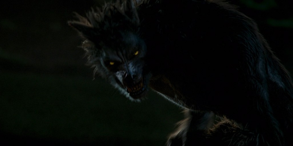 If I Were a Werewolf…