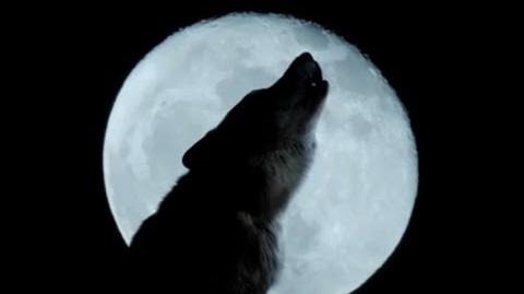 Wolfblood Series 1 Trailer (HD)